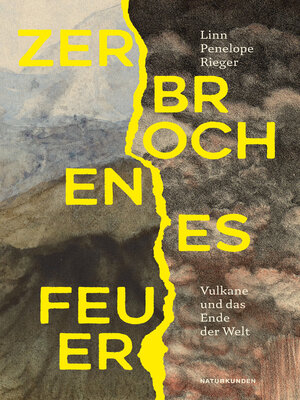 cover image of Zerbrochenes Feuer